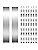 30 Pieces Shim Stock Assortment Metal Shim Stock 304 Stainless Steel Strips 1″ W