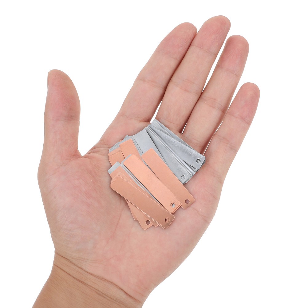 Zinc Anode Pool Scientific Experiment Copper and Electrode Strips