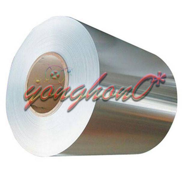 Pure Iron Foil Fe Thin Sheet 0.1mm x 100mm x 1000mm