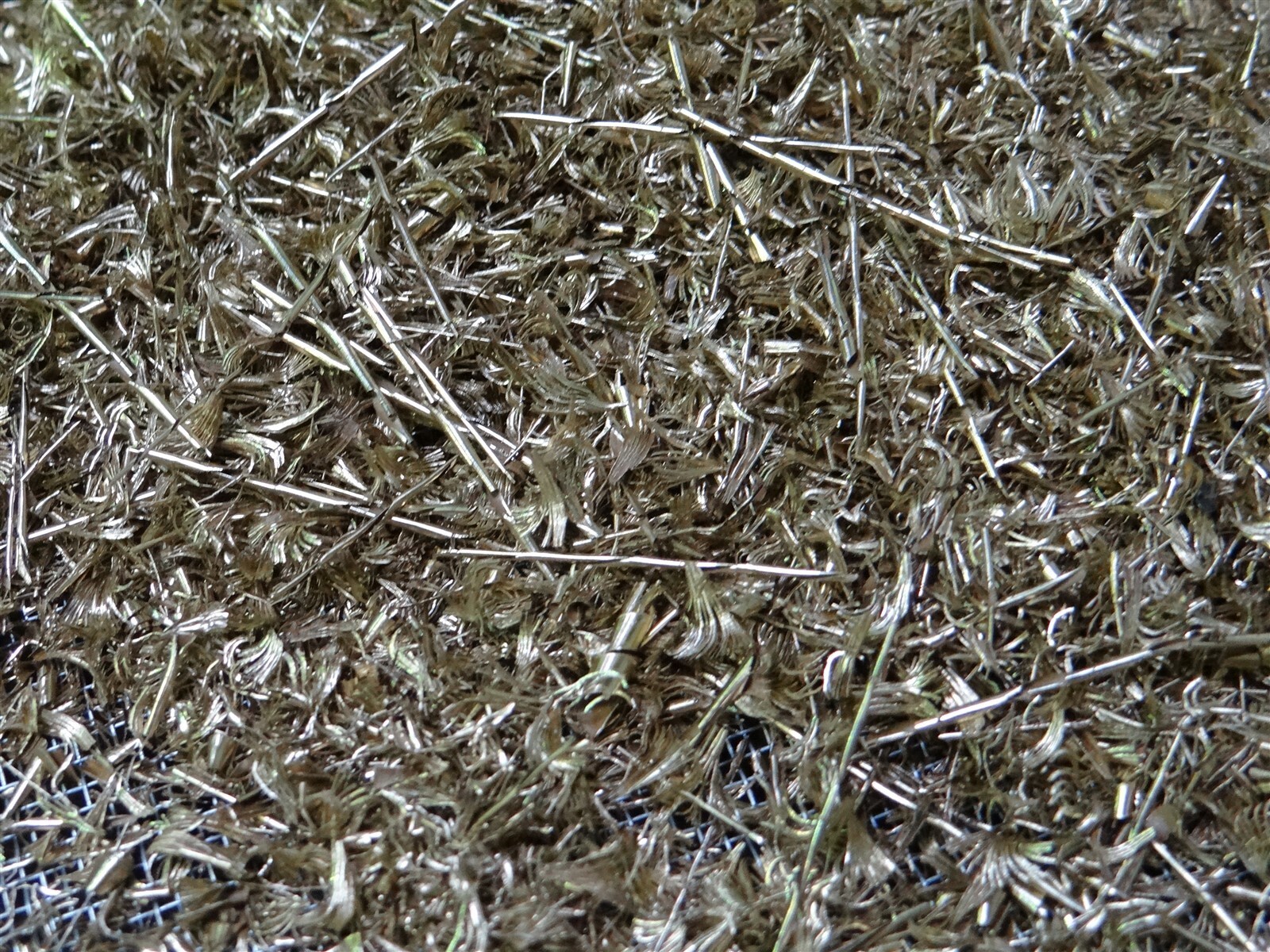 1lb. of Unique Naval Brass Shavings Filings Turnings Chips Science Orgone Art