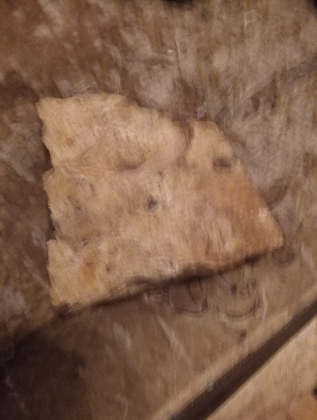 Petrified Wood Rock Specimens Lot of 2 Prehistoric Fossils