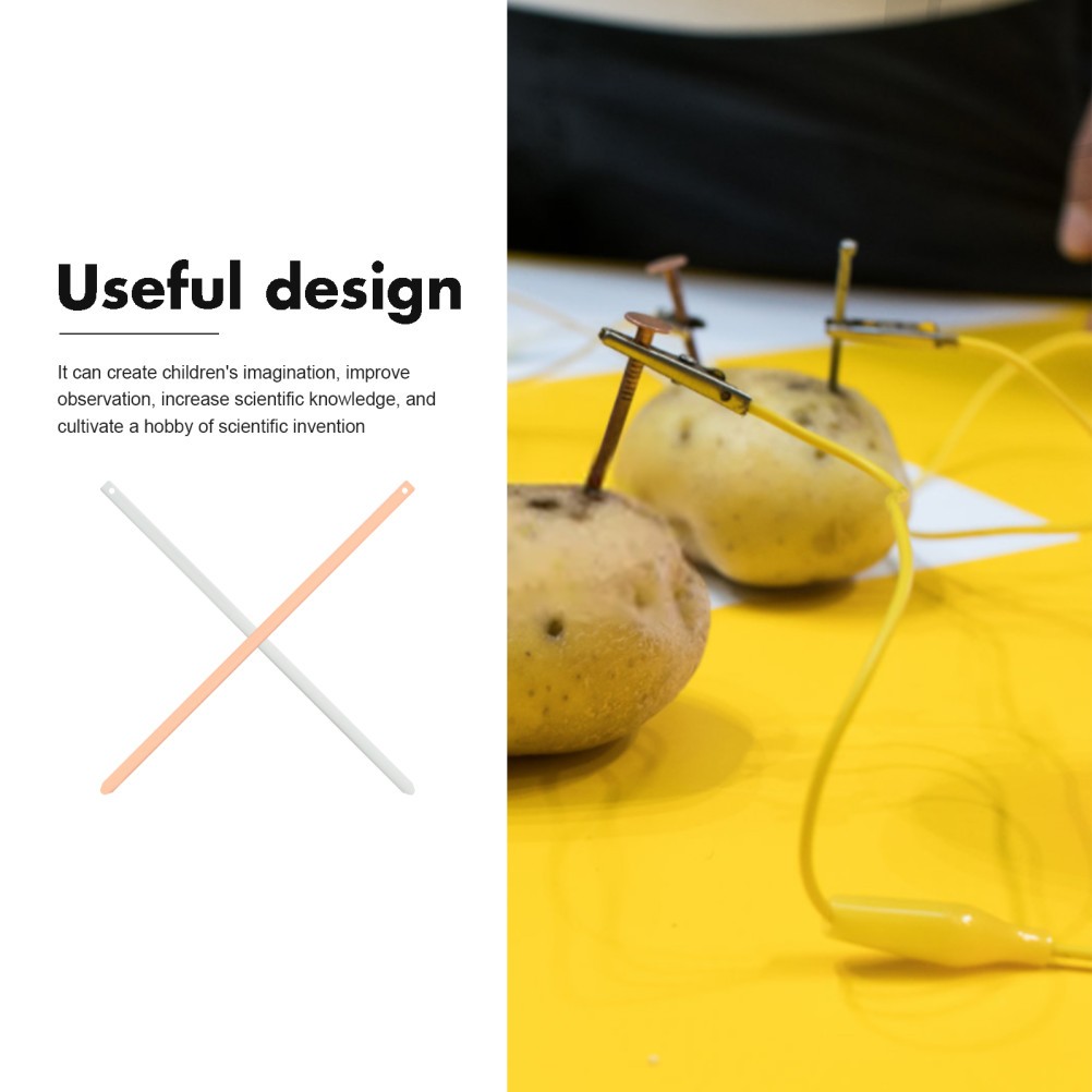 Science Electricity Kit Potato Copper and Zinc Electrodes Experiment