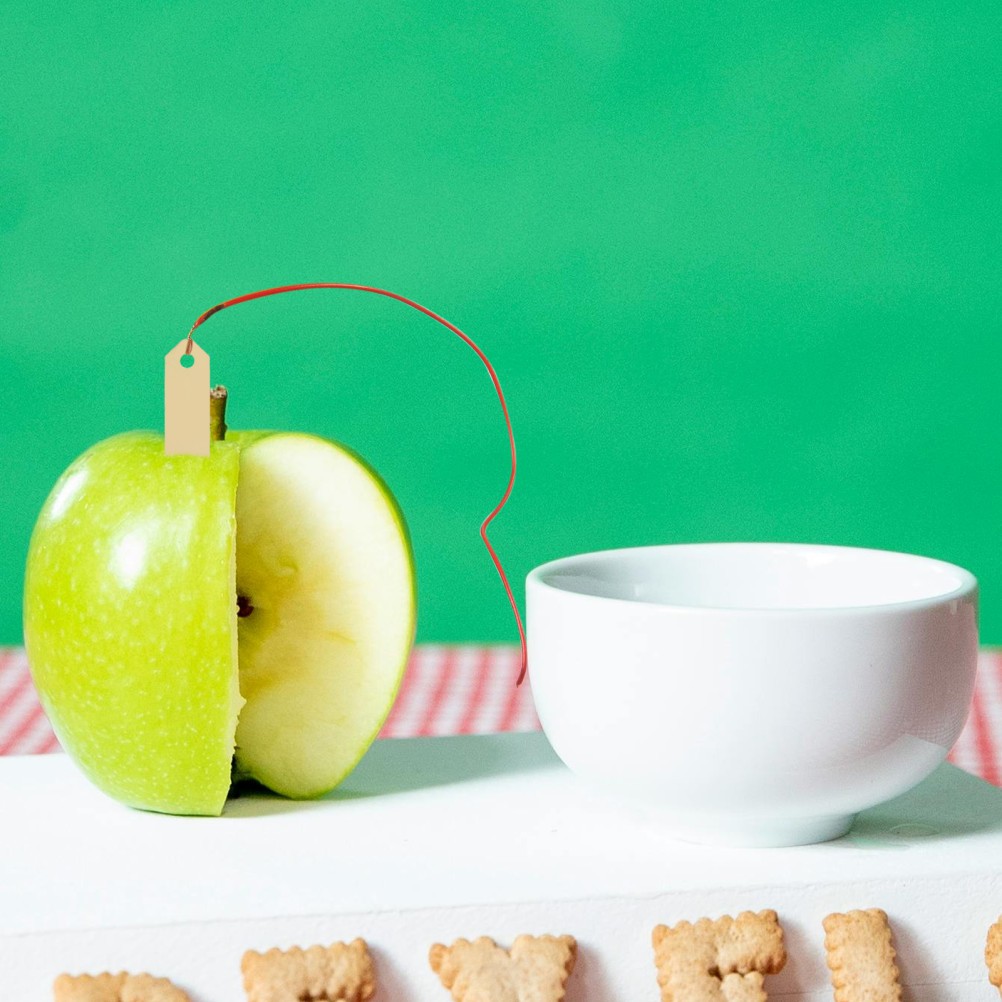 40 Pcs Fruit Battery Components Educational Project Supplies Electrode Kit