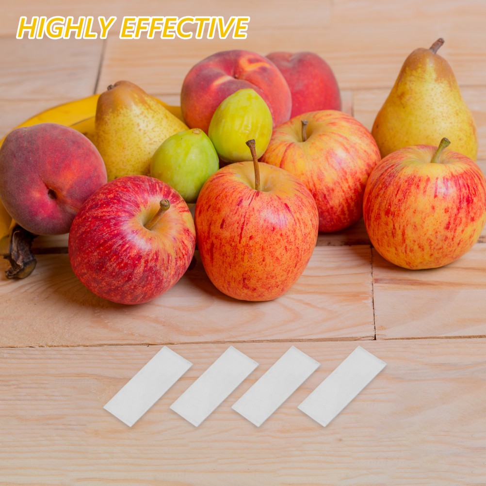 10Pcs Reusable Zinc Electroplating Plates Silver Strips for Fruit Battery Making