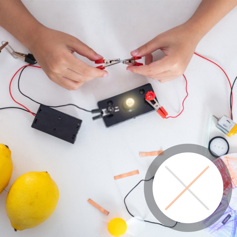 Science Electricity Kit Potato Copper and Zinc Electrodes Experiment