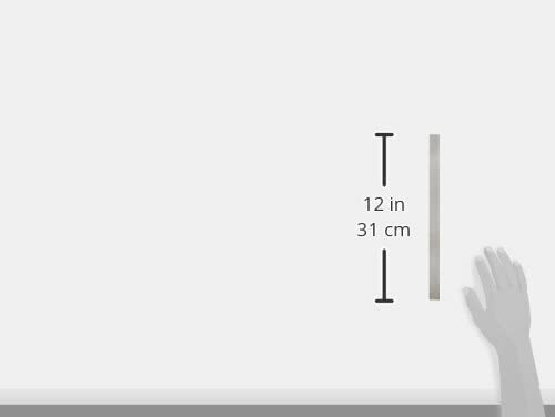 12 in STAINLESS STEEL STRIP 1/2×9/500in (12.70×0.46mm) K&S Engineering #87157