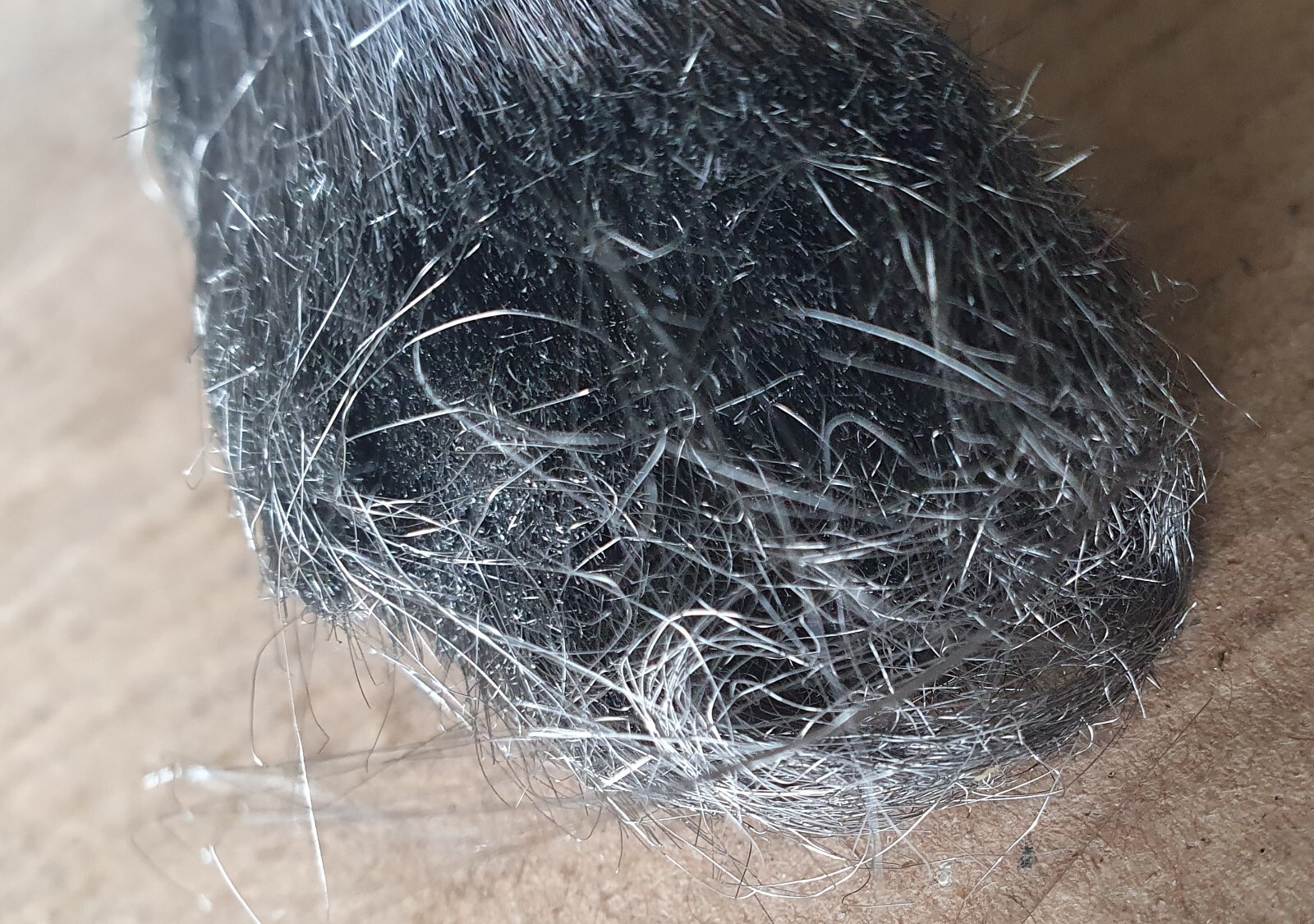 A strand of nickel alloy wires with a thickness of 0.050 mm.