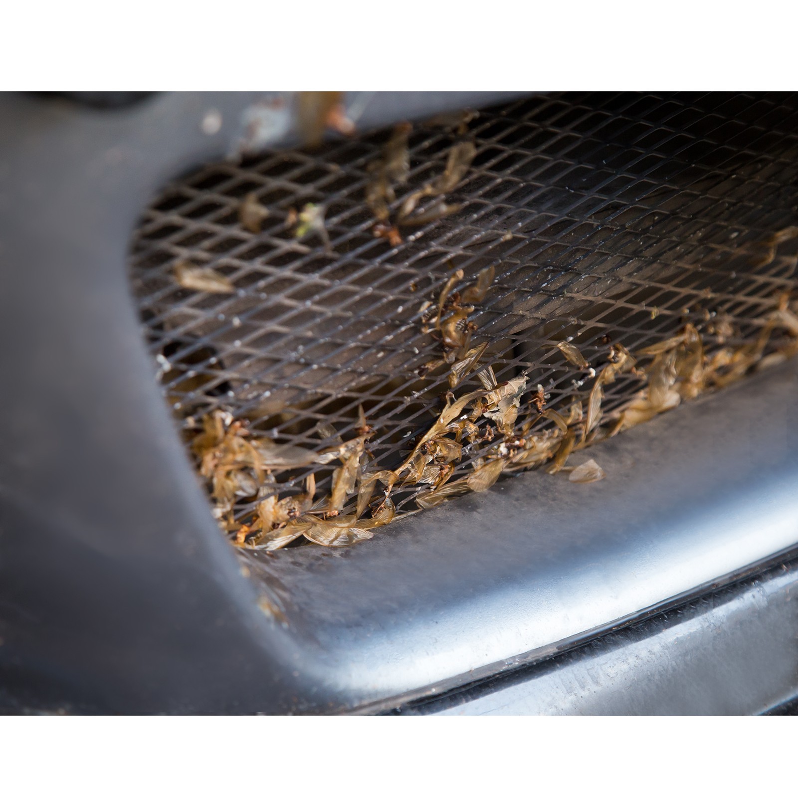 40″L 15.7″W Universal Car Grill Mesh 1x2mm Diamond Hole Silver Tone